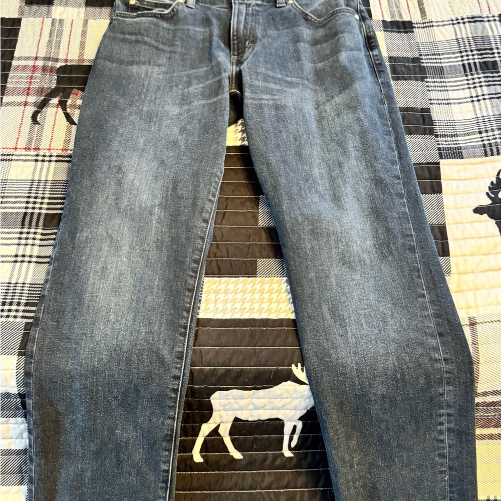 Lee Blue Straight Jeans with Classic Style